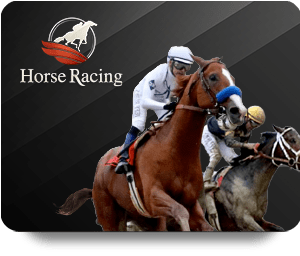 ซ่าเกม 66: สุดยอดเกมพนันในโลก